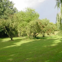 Mareham House Bed  Breakfast thumbnail 7