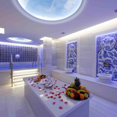 Anemon Bursa Gönlüferah Termal&Spa Otel - Bild 14