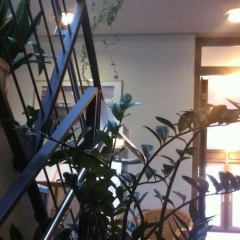 Hotel Metropol Garni - Bild 10