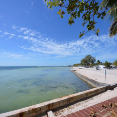 Palm Gardens thumbnail 17