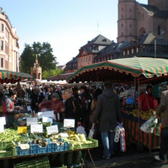 City-Dachapartment Mainz - Bild 7