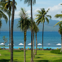 Dialoog Banyuwangi - Bild 16