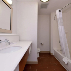 Hampton Inn & Suites by Hilton Lonoke thumbnail 9