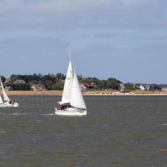 Himmelreich Amrum - Bild 4