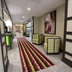 Hampton Inn & Suites Dallas Market Center thumbnail 12