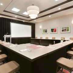 Hilton Garden Inn Pittsburgh Airport South-Robinson Mall thumbnail 28