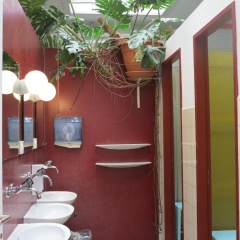 Basel Backpack - Hostel - Bild 6