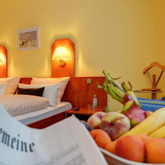 Hotel Elbinsel - Bild 2