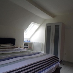 Naturferienhaus Luppbodemühle - Bild 3
