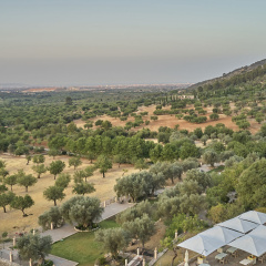 Agritourismo Alquería Blanca - Bild 21