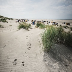 Winkelschiffchen II - Bild 16