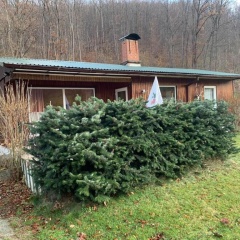 Ferienhaus "Am Reiterhof" - Bild 5