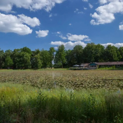 Holiday Home in Stramproy Near Nature Reserves thumbnail 25