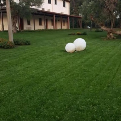 Tenuta Cavalieri thumbnail 6
