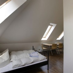 Younior Stralsund - Bild 6
