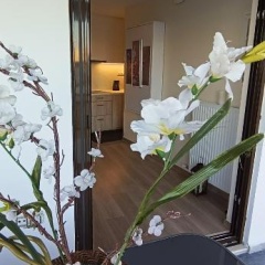 Blue Seaview Suites - Bild 11