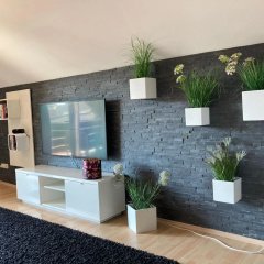 Ferienwohnung Finkenschlag - Bild 4