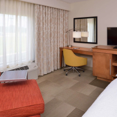 Hampton Inn & Suites by Hilton Lonoke thumbnail 5