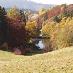 Pension Alfa - Bild 15