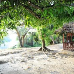 Danpaati River Lodge in Paramaribo, Suriname from 119$, photos, reviews - zenhotels.com photo 10