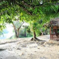 Danpaati River Lodge in Paramaribo, Suriname from 110$, photos, reviews - zenhotels.com photo 8