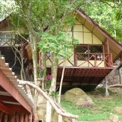 PP Ingphu Viewpoint - Bild 17