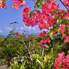 Villa Awan Uluwatu - Bild 12