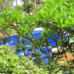 New Adirama Beach Hotel - Bild 25