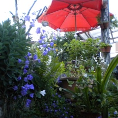 Zimmer Frei - Bild 2
