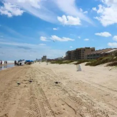 Gulf View II Condominiums by Padre Getaways thumbnail 17