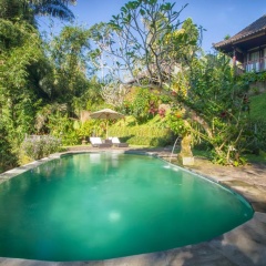 Wedang Villa - Bild 4