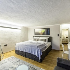 APT - Stone Lodge Salzburg - Bild 2