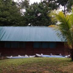 Danpaati River Lodge in Paramaribo, Suriname from 119$, photos, reviews - zenhotels.com photo 21