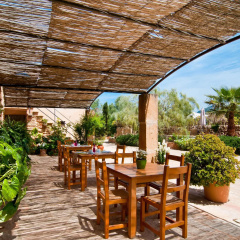 Finca es Rafal Roig - es Celler - Bild 4