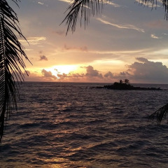 Отель Panorama Guesthouse Шри-Ланка, Берувела - отзывы, цены и фото номеров - забронировать отель Panorama Guesthouse онлайн пляж