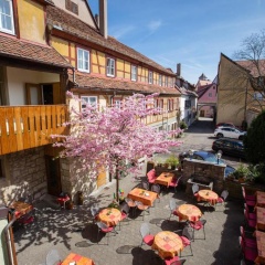Hotel-Gasthof Goldener Greifen - Bild 9