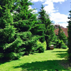 Hotel An den Bleichen - Bild 10
