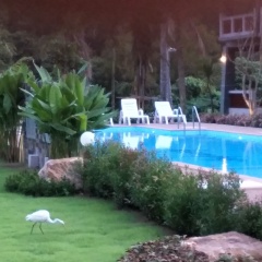 Lanta Infinity Resort - Bild 13