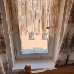 Pension Birgit - Bild 3