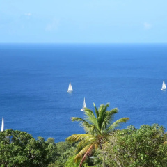 Tet Rouge Resort St. Lucia thumbnail 19