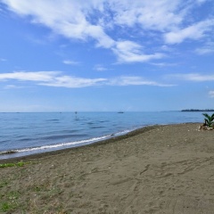 Dolphin Beach Bali - Bild 16