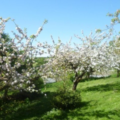 Harzurlaub Heyder - Bild 10