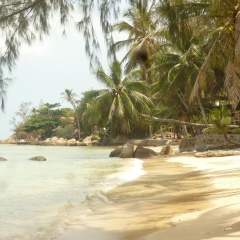 Haad Chao Phao Resort thumbnail 16