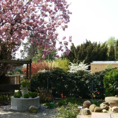 Nordmarkt - Bild 11