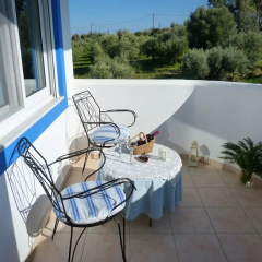 The Olive Branch Villa thumbnail 7