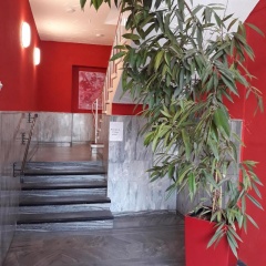 Ricks City Hotel 2 - Bild 9