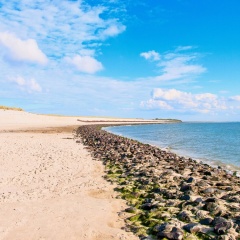 Strandperle - Wangerooge - Bild 9