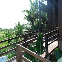 Villa Bali Borneo - Bild 18