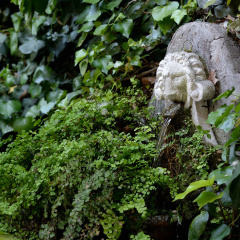Hotel Giulio Cesare - Bild 15