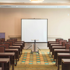 Hampton Inn & Suites Dallas/Frisco North-FieldhouseUSA thumbnail 23